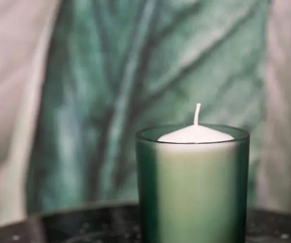 Le Cocon D'angela - - Parking Prive アパート ペリグー